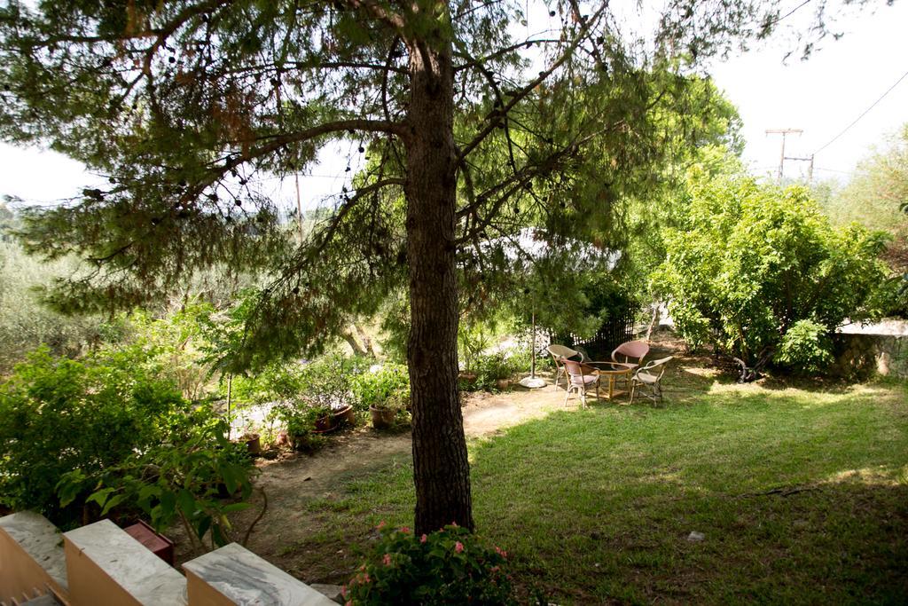 Almyros Studios & Apartments Kounopetra Dış mekan fotoğraf